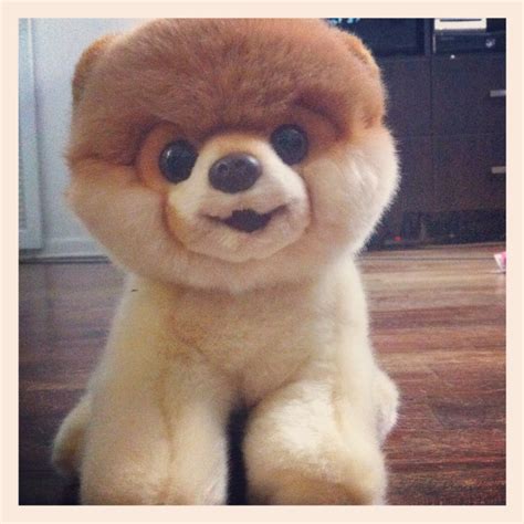 gund :: boo and lena the lamb {giveaway} – the SIMPLE moms