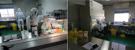 Image Classification Using Machine Learning Thesis 的图像结果