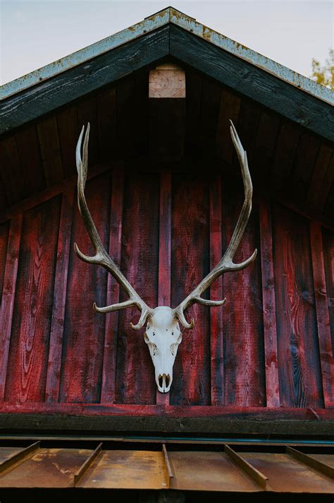 Gallery | The Stampede Ranch