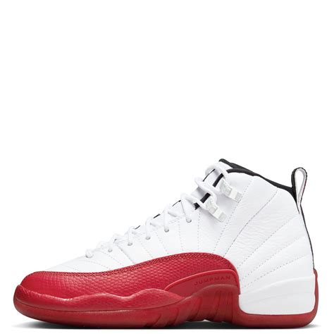 All white jordan 12 online