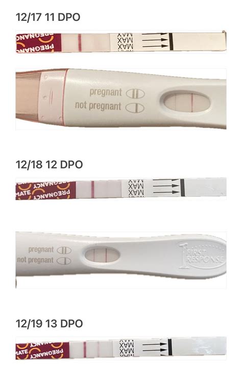 At 13 Dpo Pregnancy Test Pictures Can't See The Progression Between