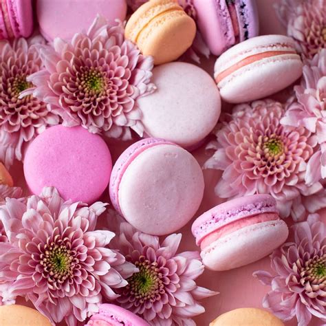 THE LINCOLN APARTMENT BAKERY (2026) All You Need to Know BEFORE You Go ...