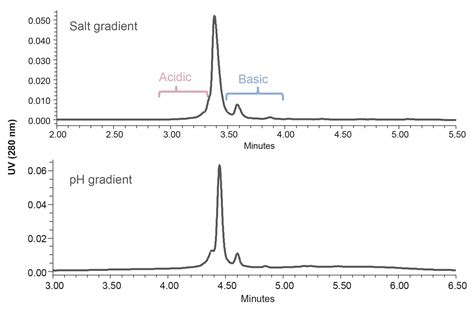 Rapid mAb Charge Variant Analysis with 20 mm Cation Exchange Columns ...