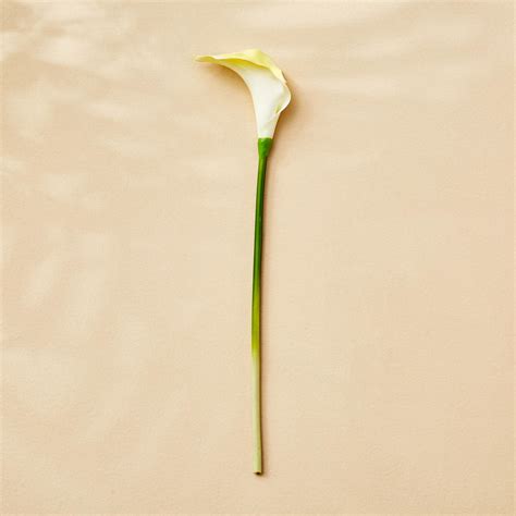 Buy Botanical Artificial Calla lily Flower - 35cm from Home Centre at ...