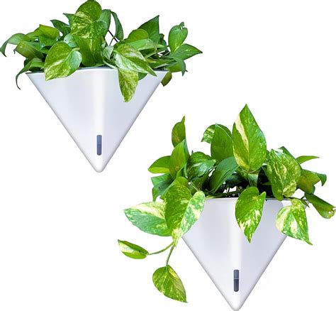 LáLáGreen LaLaGreen Self-Watering Wall Planters - 2 Pack, 12 India | Ubuy
