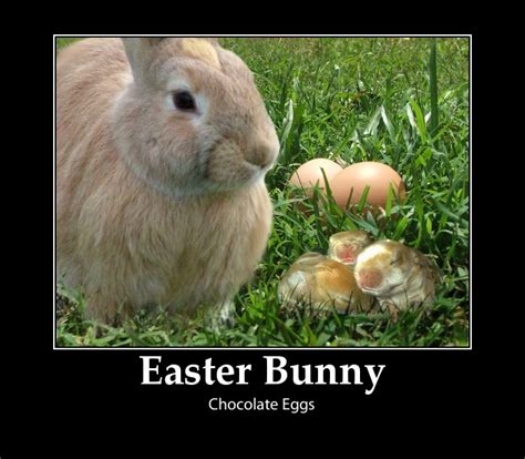 Funny Easter Pictures 2026: Best, Cool, Funny