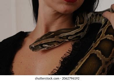Image result for Python around Neck
