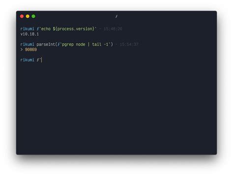 JavaScript Shell 的图像结果