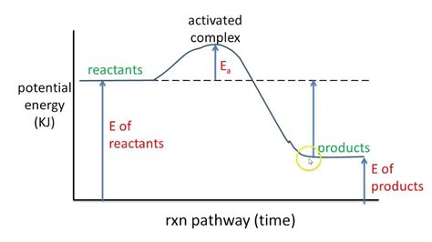 Potential Energy Graphs 的图像结果
