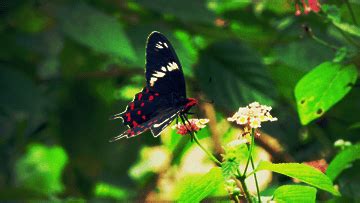 Arakal Heritage | Homestay in Kerala | Homestay in Alleppey