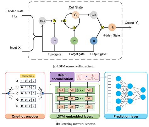 LSTM4piRNA: Efficient piRNA Detection in Large-Scale Genome Databases ...