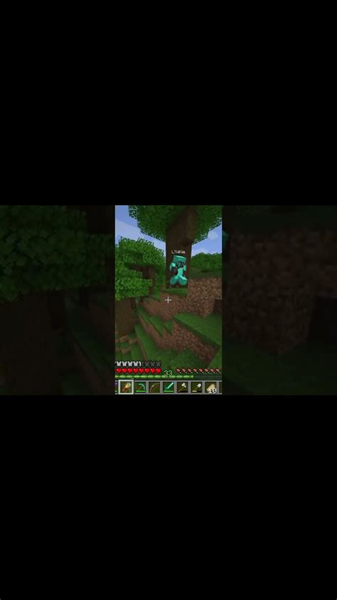 Image result for Minecraft 1.19 Server Java