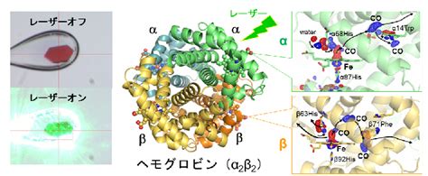 Image result for Readable GUID Generator