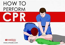Image result for Hamlin CPR challenge