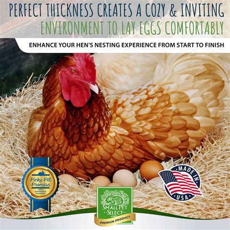 Chicken Nesting Pads (12-pack) - Small Pet Select U.S.