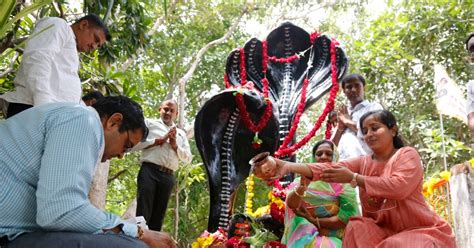 Umat Hindu India Rayakan Festival Ular