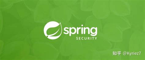 Advanced Spring Security 的图像结果