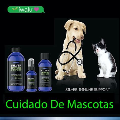 Perro Gato Gotas Antibióticas Oído Ojo Boca | Ubuy India