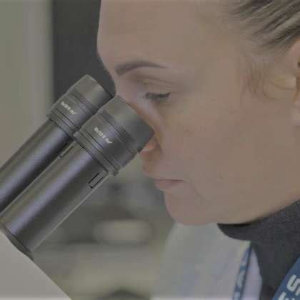 Thales Templecombe (United Kingdom) office | Glassdoor