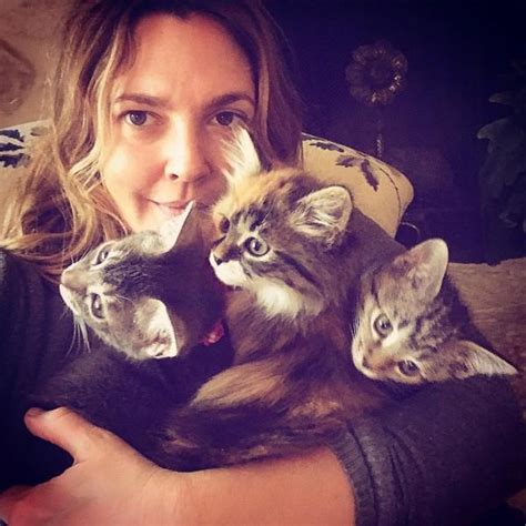Drew Barrymore adopts three kittens - Photos,Images,Gallery - 81148