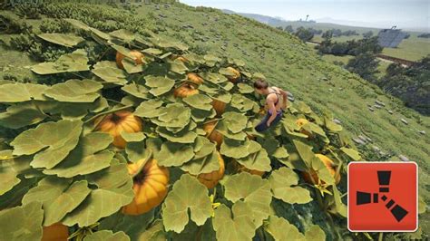 Image result for Rust Farming Update