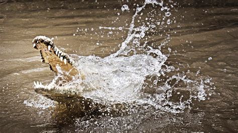 I Was Prey: Terror in Paradise