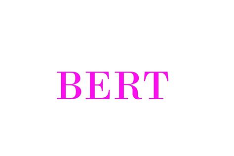 Image result for Word Embedding Bert Python