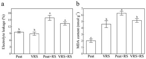 Compost Amendments Based on Vinegar Residue Promote Tomato Growth and ...