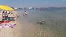 isola dei conigli porto cesareo l isola dei conigli a porto cesareo un oasi di relax isola dei conigli porto cesareo l isola dei conigli a porto cesareo un oasi di relax