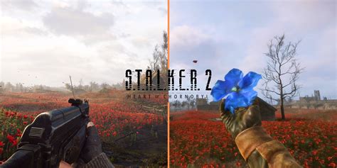 How To Get The Weird Flower Artifact In STALKER 2