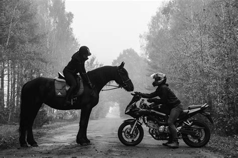 Motocycle and horse #2 nel 2025 | Foto di cavalli, Animali, Animali fantastici