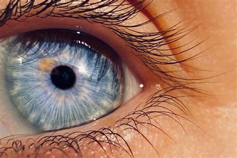 Image result for Peripheral Vision