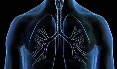 秋季养肺的养生知识讲座 秋季养肺小常识 - 长跑生活