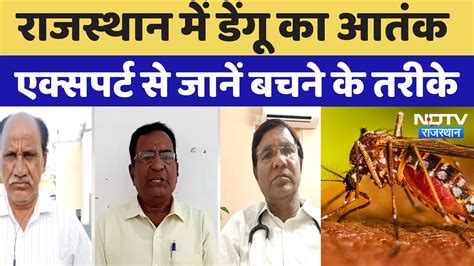Dengue News: Rajasthan में Dengue का आतंक, Expert से जानें बचने के तरीके