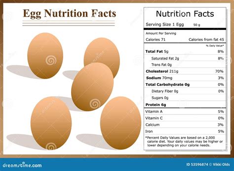 Egg Nutrition Facts Stock Vector - Image: 53596874