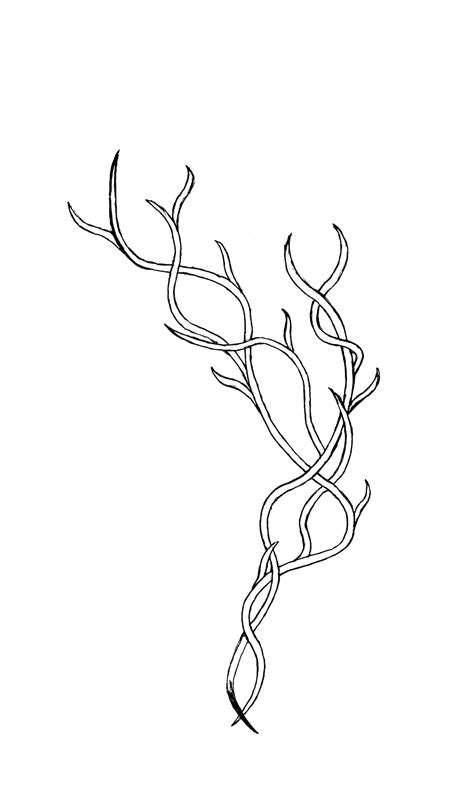 Ivy Vines Drawing at GetDrawings | Free download