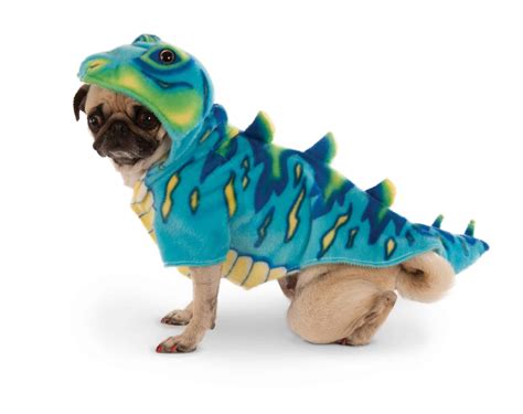 Extra Large Dog Dinosaur Costume at Christopher Etheridge blog