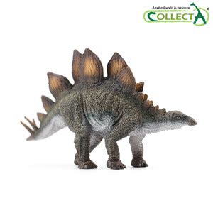 Jual Collecta Stegosaurus Dinosaurs Prehistoric Animals Model - Kota ...