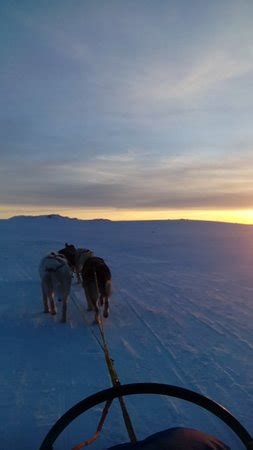 Skridhusky (Akranes) - 2022 What to Know Before You Go (with Photos ...