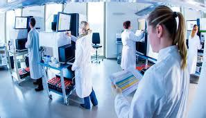 About Bioinformatics Programmers 的图像结果