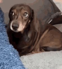 Image result for Meme JavaScript Eqal