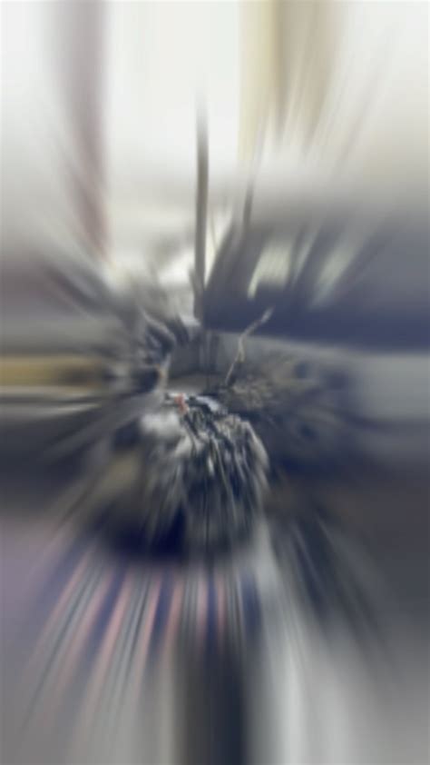 CAPSULE AUTO GARAGE (@capsule.garage) • Instagram photos and videos