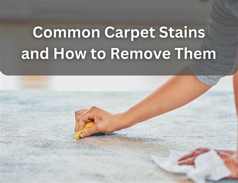 Common Carpet Stains at Jade Stainforth blog
