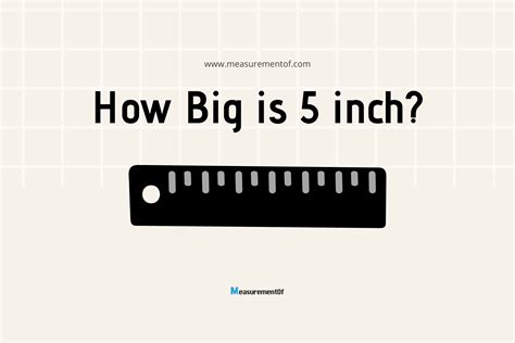 10 Common Things That Weigh 30 Pounds