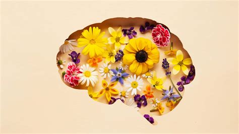 Behavior Science Desktop Background 的图像结果