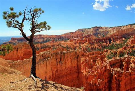 美国最美10大国家公园，你去过几个？