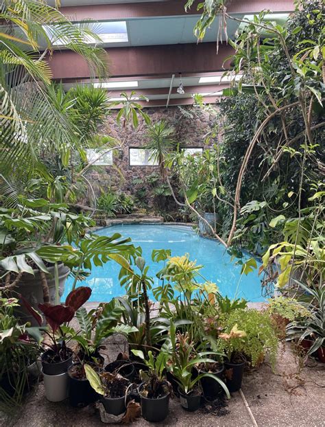 Why do people love Black Gold potting mix?? : r/houseplants