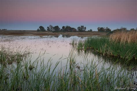 Weekend Layover | Merced National Wildlife Refuge, California | Richard ...