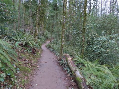 Marquam Park – 02/11/2023 – wanderingyuncks