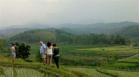 THE ALIT ESTABLISHMENT (Pacet) - Specialty B&B Reviews, Photos, Rate ...